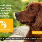 MWV Mobile Veterinary Clinic_special_2