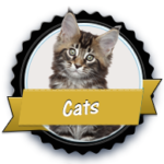 black_goldcats