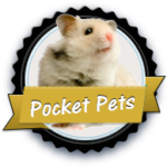 black_goldpocketpets