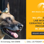 MWV Mobile Veterinary Clinic_special_3