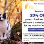MWV Mobile Vet Clinic_ January special 2017